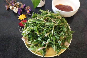 生吃婆婆丁