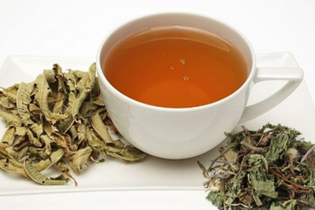 蒲公英搭配马鞭草