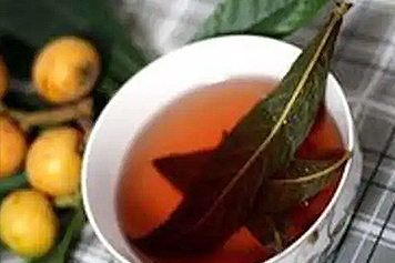 枇杷树根煮水