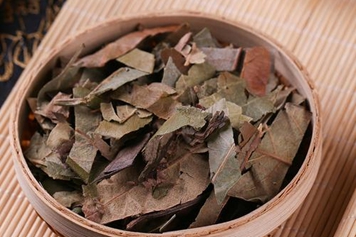 中药枇杷叶