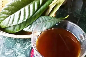 枇杷叶加红糖煮水