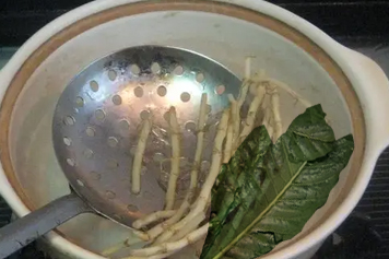 枇杷叶和鱼腥草一起煮水