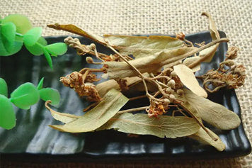菩提茶