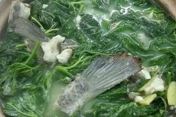 桑叶鲫鱼汤