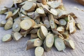 桑枝片