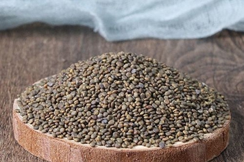 沙苑子茶