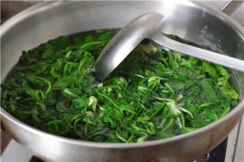荠菜水