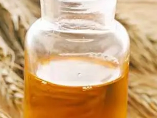麦芽油
