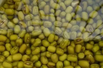 生绿豆泡开水喝