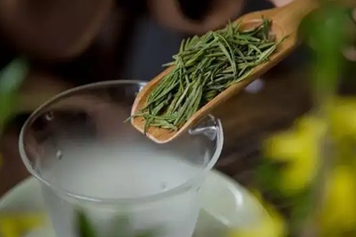 老绿茶