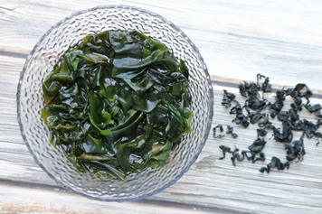螺旋海藻