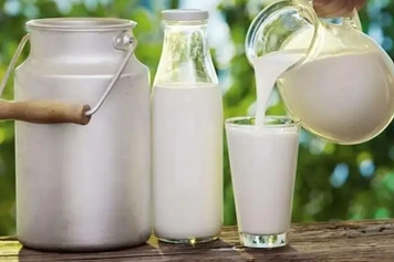 骆驼初乳