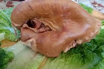 驴肚