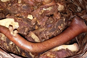 驴尾巴