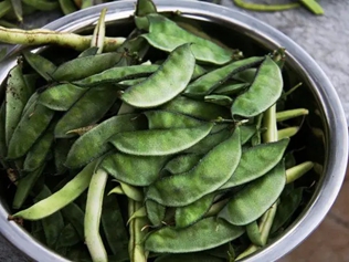 梅豆角