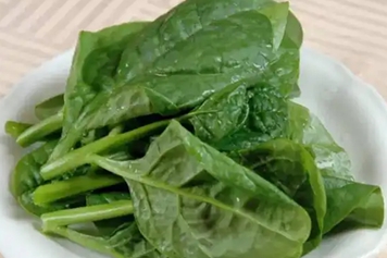 滑菜
