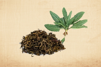 蛤蟆草和蒲公英