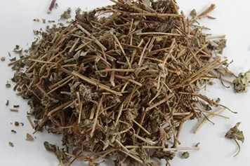 干地锦草
