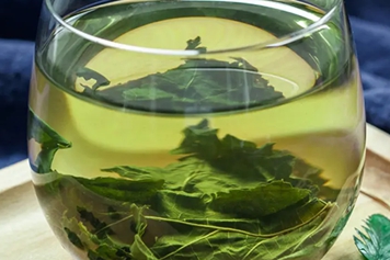 干桑叶茶