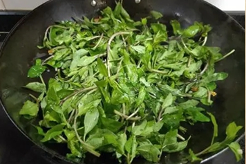 狗地芽根熬水喝