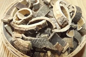 合欢树皮