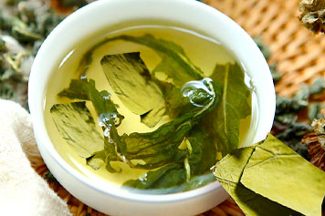 荷叶蒲公英茶