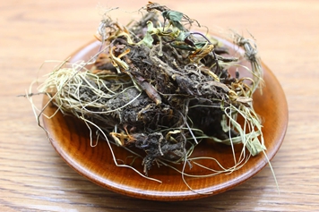 松根