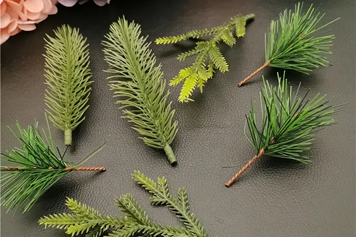杉木叶煮水