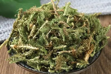 生筋草