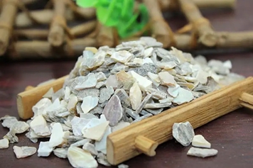 生珍珠母