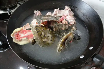 石金钱龟煲土茯苓