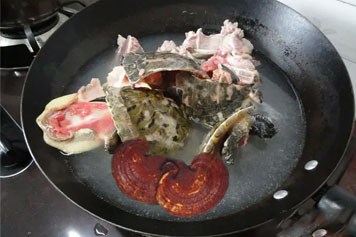 石金钱龟土茯苓灵芝汤