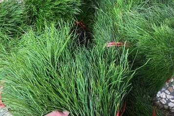 石刷把