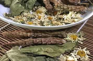 夏枯草菊花茶