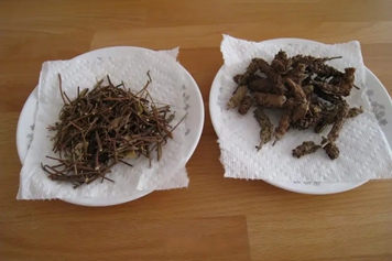 夏枯草鸡骨草煲汤