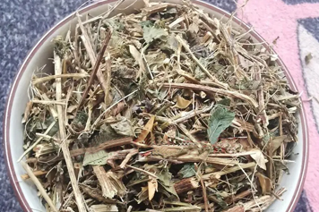 仙秀草