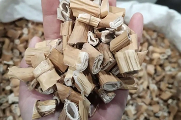 西洋参芦头