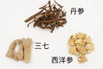 西洋参三七丹参一起吃