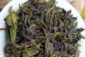 土山茶