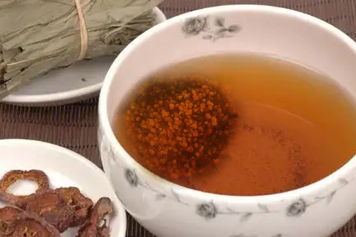 菟丝子和杜仲泡水喝