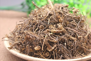 乌龙草药