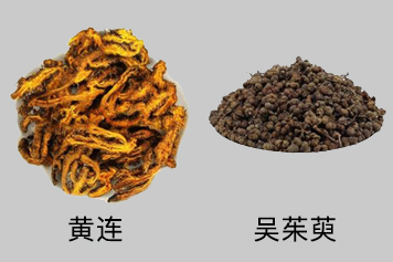 吴茱萸和黄连同用