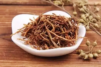 熊胆草