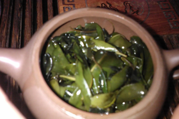 熊胆茶