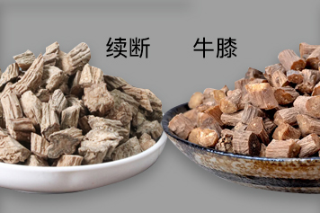 续断配牛膝