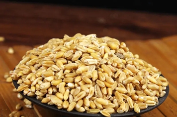 中药小麦