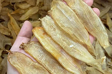 小金龙鱼胶