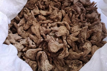 羊角七