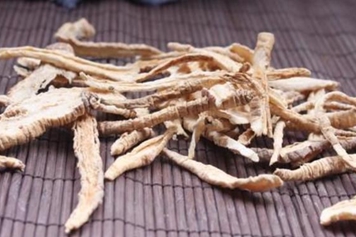 羊奶参