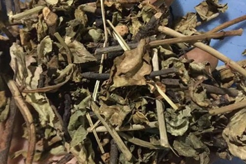 谢三娘草药